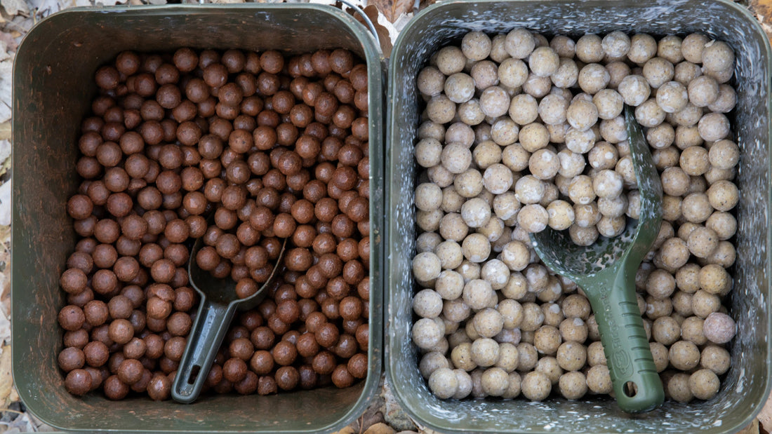 Boilies solubile versus tari - ce alegi?
