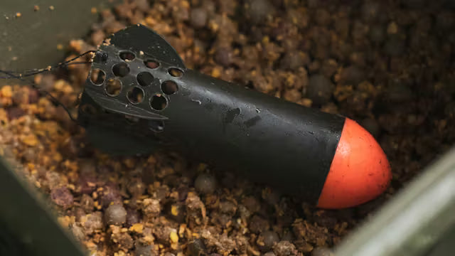 Nada pentru crap primăvara - ce merge