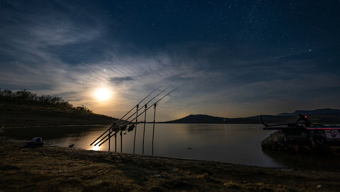 Pescuit la crap pentru începători: pași buni