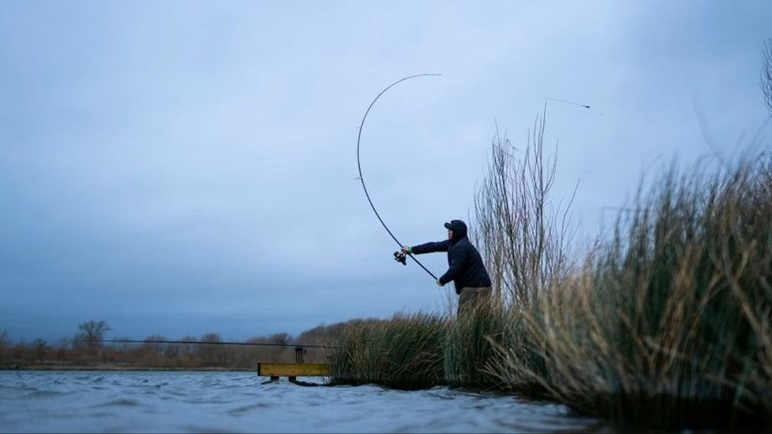Ce înseamnă test curba lansetă