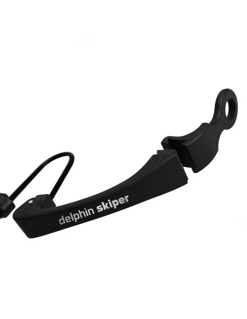 Delphin Skiper Swinger Iluminated