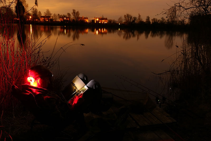 FOX Halo MS250 Headtorch