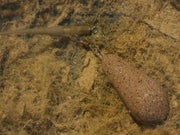 Korda Distance Casting Swivel